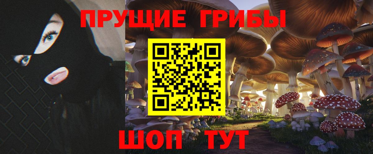 Изобильный  Галлюциногенные грибы Psilocybine cubensis  Вход с VPN 